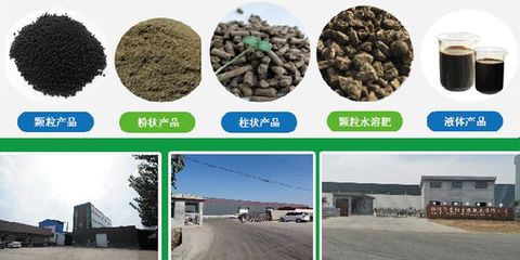 京陽生物致力打造大型純植物源有機肥生產(chǎn)基地，引領(lǐng)綠色農(nóng)業(yè)新風(fēng)尚