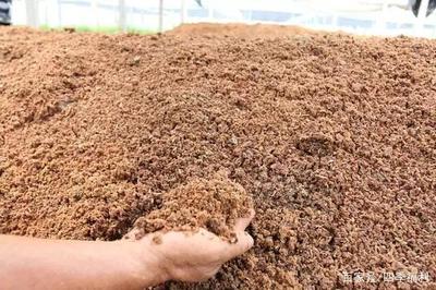 富含多種營養(yǎng)物質的有機肥料——花生麩生物有機肥料研發(fā)